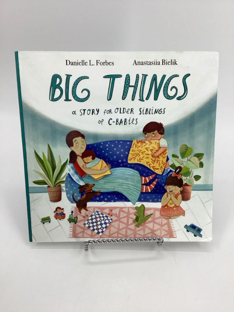 Big Things a Story for Older Siblings for C-Babies Paperback Book