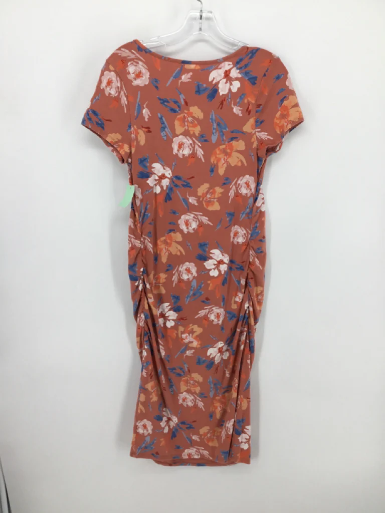 isabel Maternity Size M Cotton Blend Dress - Maternity - Image 2