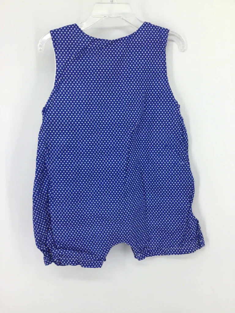 Lil Cactus Child Size 2 Blue Stars & Stripes Outfit - Image 2