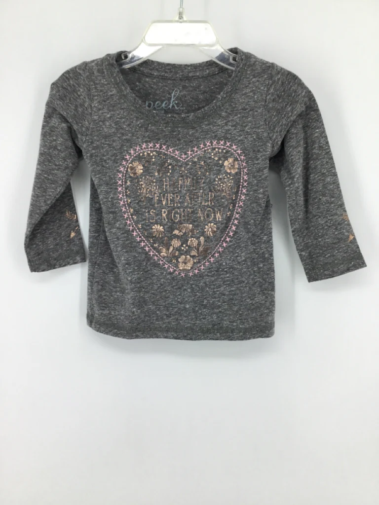 peek Child Size 12-18 Months Gray T-shirt - girls