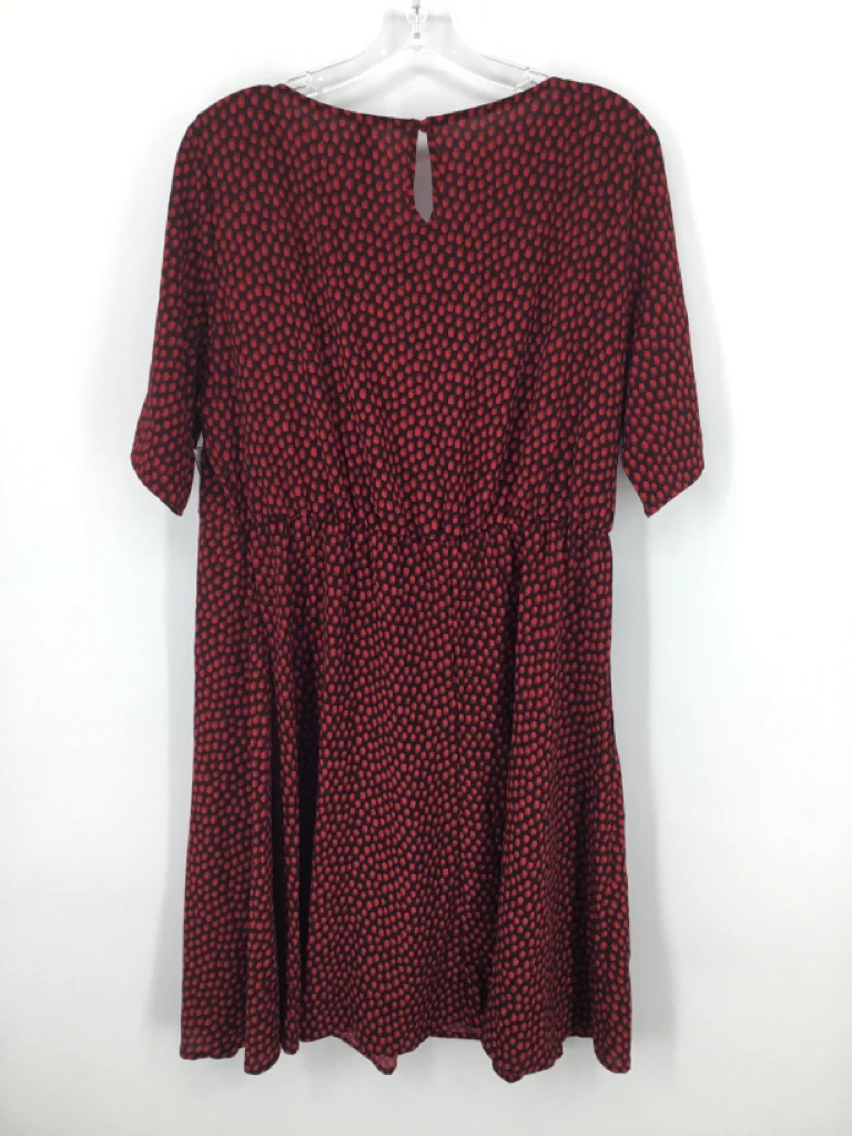 Seraphine Size L Poly Blend Dress - Maternity - Image 3