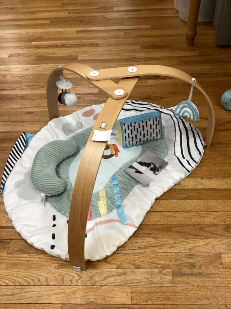 Skip Hop Discoverosity Play Gym