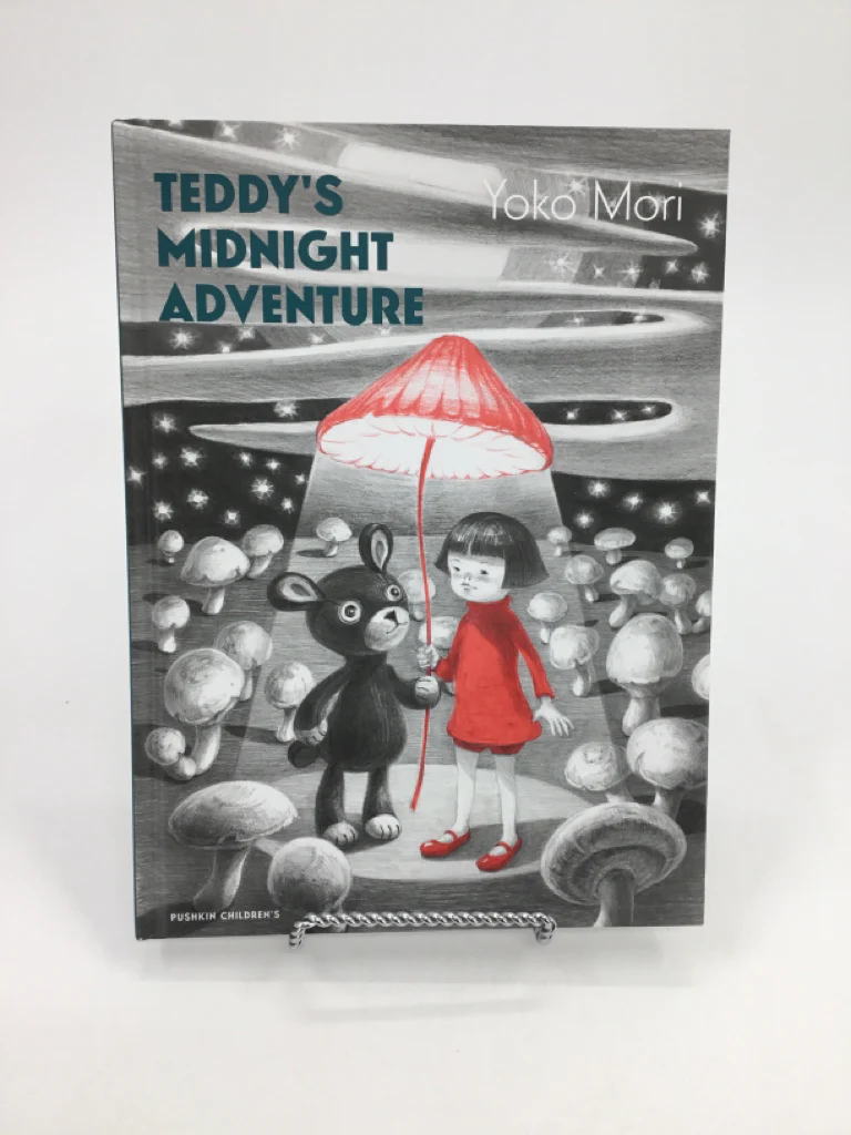 Teddy's Midnight Adventure Hardback Book