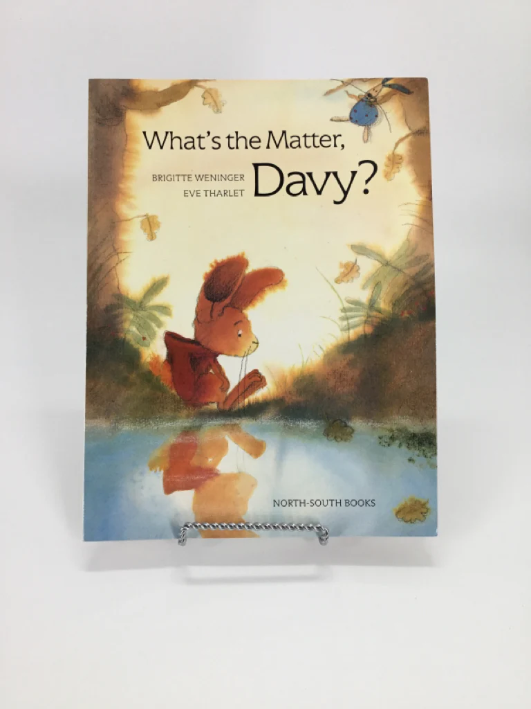 What's the Matter, Davy? Paperback Book